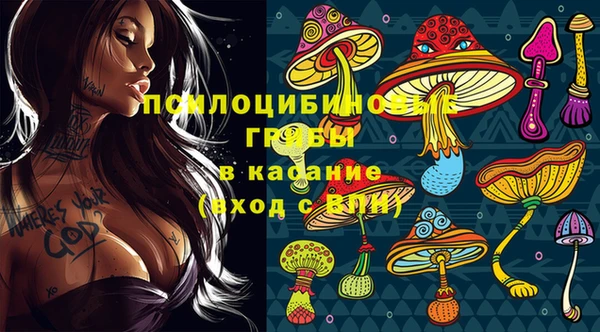 амф Слюдянка